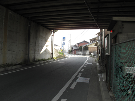 20140125hike (5)